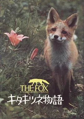 危情